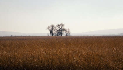 Fototapeta premium Rural landscape view in Bavaria Germany