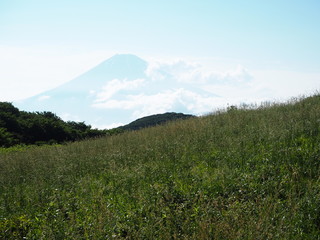 Fototapeta premium Mount Fuji Japan