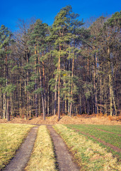 Fototapeta premium Rural landscape view in Bavaria Germany