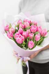 Tulips of pink color in woman hand. Big buds. Floral natural backdrop. Unusual flowers, unlike the others. Shallow focus. Wallpaper, Vertical photo