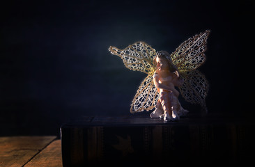 image of magical little fairy sitting on old story book.
