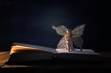 image of magical little fairy sitting on old story book.