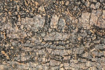 Dry Barren Scorched Soil Cracked Rough Desolate Grunge Surface