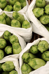 Fresh green zucchini in white bags for sale in the market.