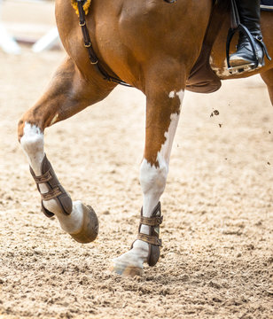 Horse riding