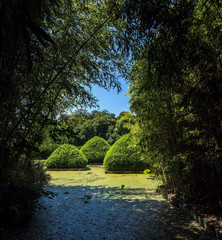 Teich im Bambusgarten