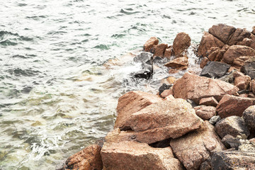 mar con pequeñas olas y  con rocas que se adentran en el agua