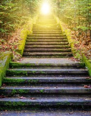 Naklejka premium Kroki prowadzące do słońca. Droga do Boga. jasne światło z nieba. Podłoże religijne . Światło słoneczne w zielonym lesie. Drzwi do pomarańczowego zachodu słońca. Światło z nieba.
