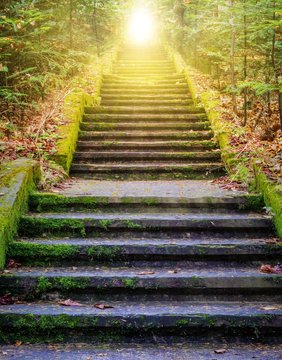Fototapeta Kroki prowadzące do słońca. Droga do Boga. jasne światło z nieba. Podłoże religijne . Światło słoneczne w zielonym lesie. Drzwi do pomarańczowego zachodu słońca. Światło z nieba.