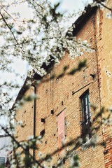 Boccioli con abitazione