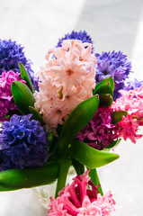 Bouquet of hyacinth flowers. Life style concept.