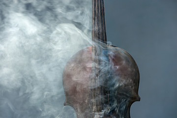 Violine Rauch Close Up Hals