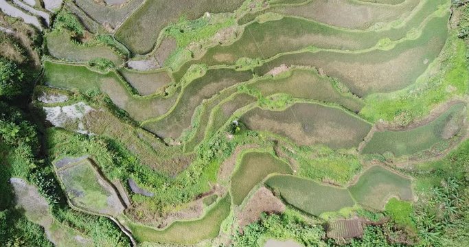 Aerial view of rice terraces at Bangaan Village on the island of Luzon, Philippines