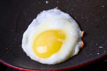 tasty fried egg