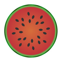 Watermelon fruit isolated on white background. Vector Illustration. Perfect for your design project.