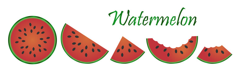 Watermelon fruit isolated on white background. Vector Illustration. Perfect for your design project.
