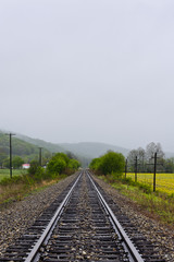 Fototapeta na wymiar Foggy Evening & Goldenrods - Abandoned Norfolk Southern Railroad - South Ohio