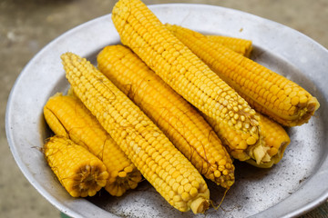 Boiled corn on an aluminum tray. Yellow boiled young corn, useful and tasty food