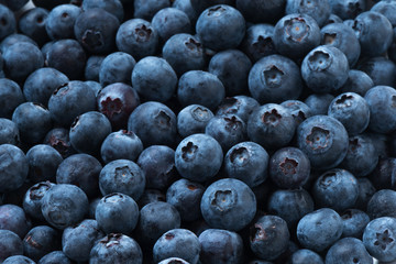 Arrangement of blueberries organic for fruit background