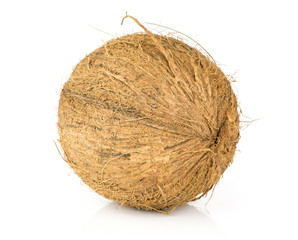 One coconut with brown fibrous shell isolated on white background.