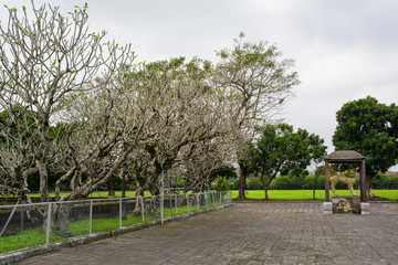 The courtyard of the Thai Hoa Palace, with a Guardian Lion or Foo Dog,  in the Imperial City, Hue, Vietnam
