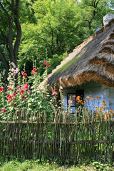 stara wiejska chata pokryta strzechą i przydomowy ogródek z malwami