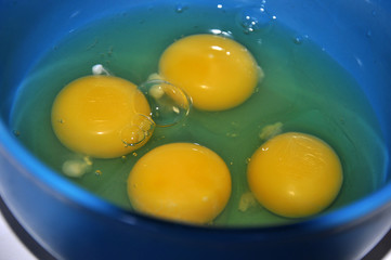 yolk in a blue plate. cooking eggs