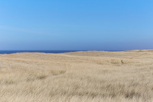 sanfte Nordseelandschaft, D&auml;nemark; .gentle North Sea landscape, Denmark