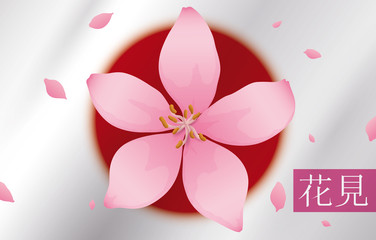 Beautiful Japanese Flag with Cherry Flower for Hanami Festival, Vector Illustration