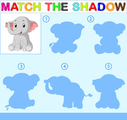 Find the correct shadow of the elephant