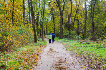 Beautiful autumn landscape. Active senior couple walking in autumn forest