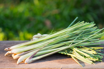 Herb plant,Lemon Grass on wood background