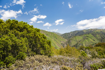 Rolling Green Hills in a Distance in Big Sur National Park, California 