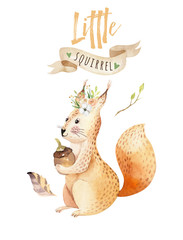 Cute watercolor bohemian baby squirrel animal poster for nursary, alphabet woodland isolated forest illustration for children. Baby shower animals invitation