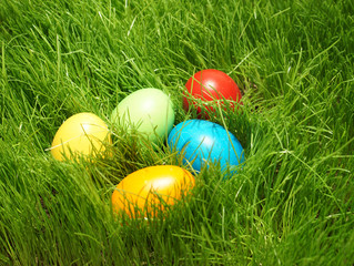 easter eggs in green grass outdoor in garden