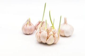 garlic isolated on white background