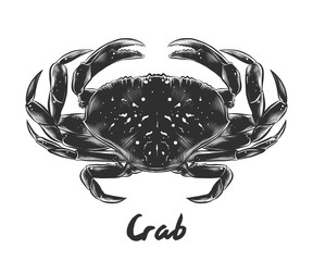 Vector engraved style illustration for posters, decoration and print. Hand drawn sketch of crab in monochrome isolated on white background. Detailed vintage woodcut style drawing. © AkimD