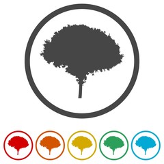 Tree silhouette icon, 6 Colors Included