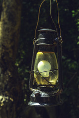 Old Lamp in a forest