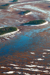 Top view of the swamp during spring
