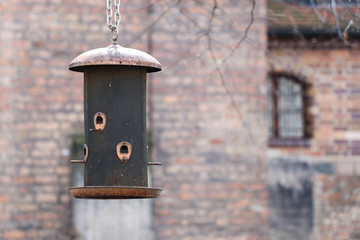 close-up of bird feeder against building