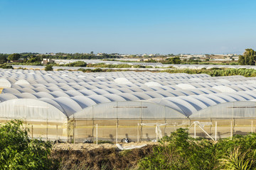 Greenhouses of vegetables in Sicily, Italy