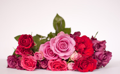 Beautiful bouquet of pink and red rose flowers on white background.