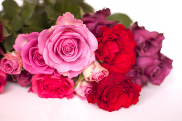 Beautiful bouquet of pink and red rose flowers on white background.
