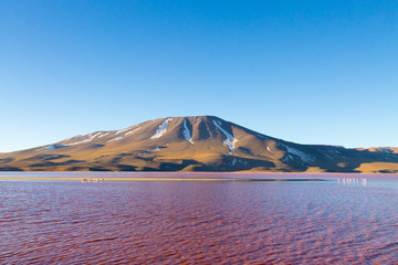 Laguna Colorada view, Bolivia