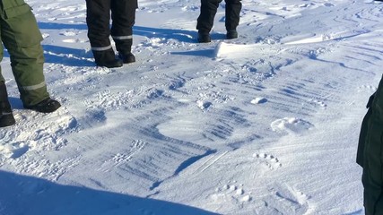 group of polar explorers found polar bear steps in Arctic. Svalbard, Norway - Powered by Adobe
