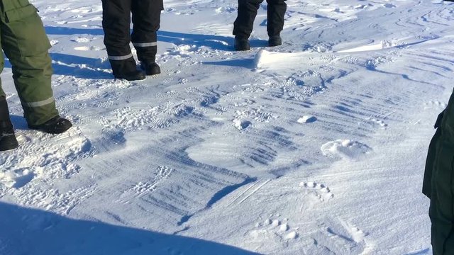 group of polar explorers found polar bear steps in Arctic. Svalbard, Norway