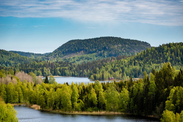 Sweden summer landscape
