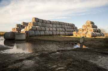 bales of hay