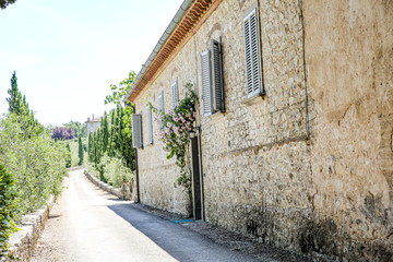 Fototapeta na wymiar summer road in tuscany 